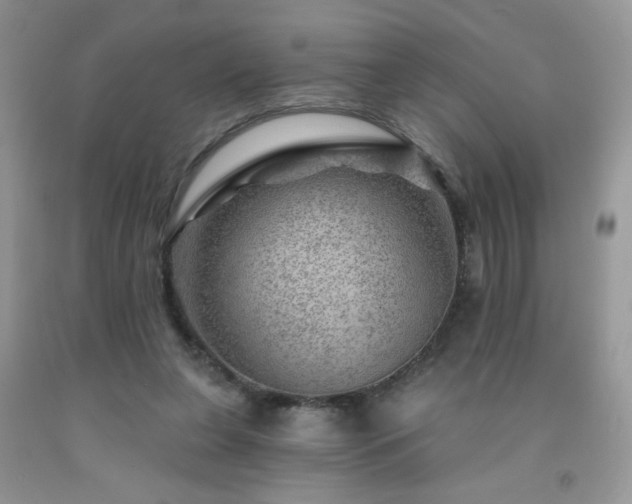 X0000092300255200709141326