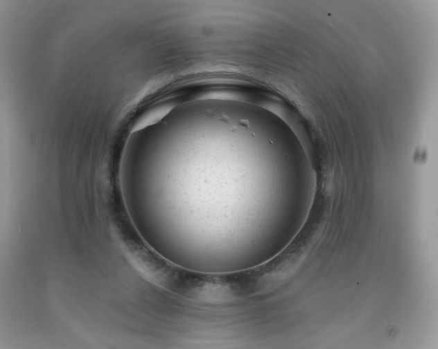X0000092300256200709141326
