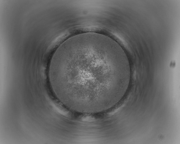 X0000092300258200709141326