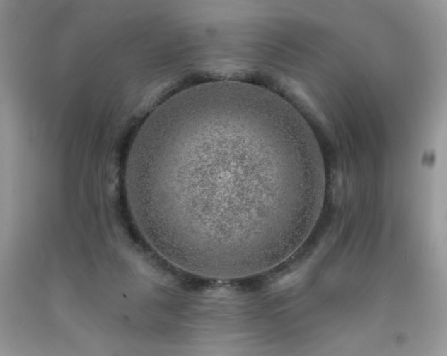 X0000092300259200709141326