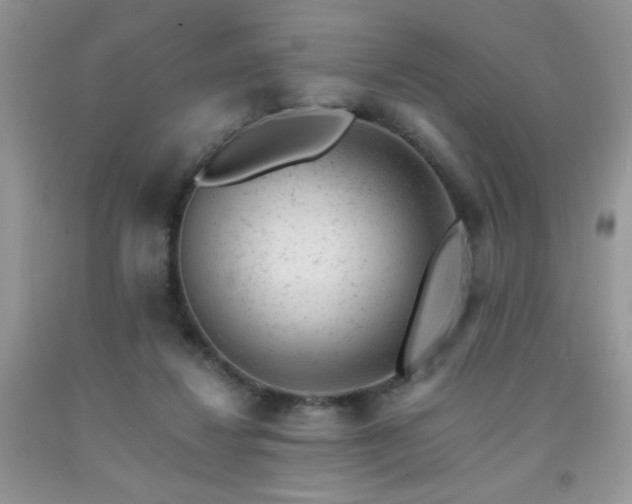 X0000092300260200709141326