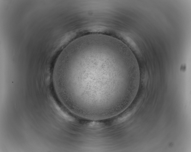 X0000092300261200709141326