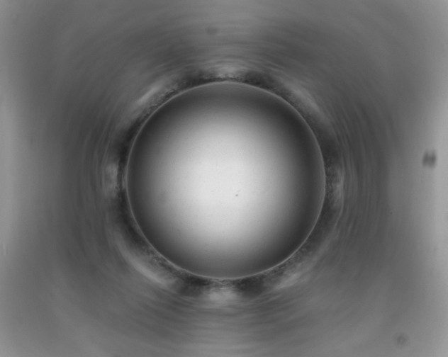 X0000092300262200709141326
