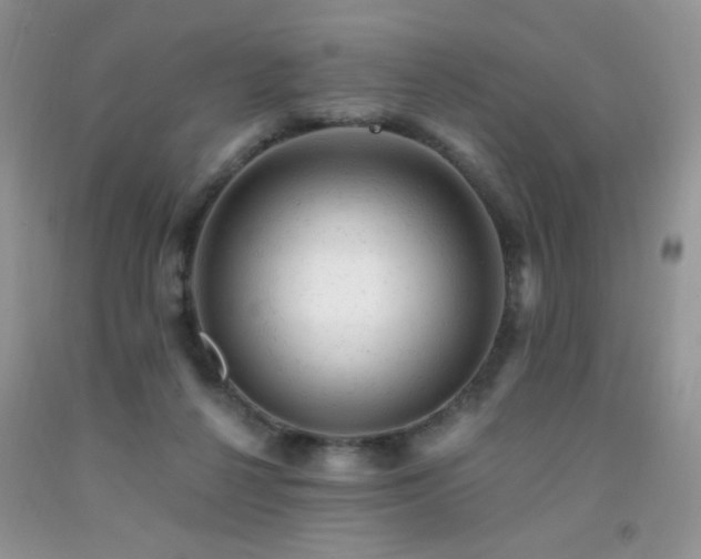 X0000092300264200709141326