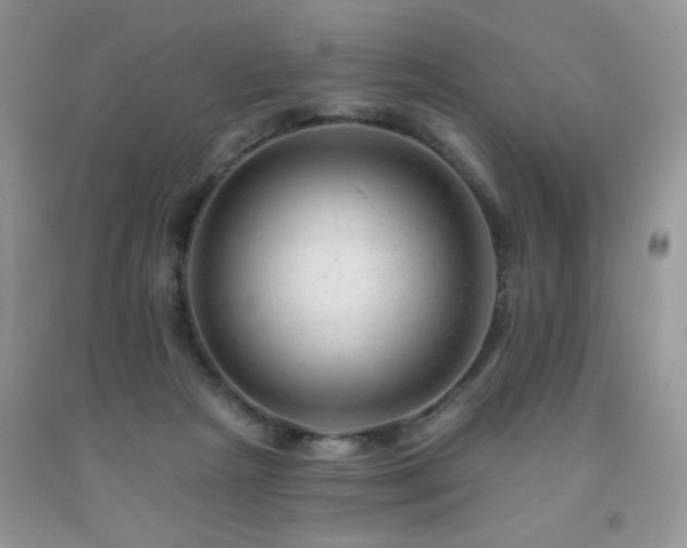 X0000092300265200709141326