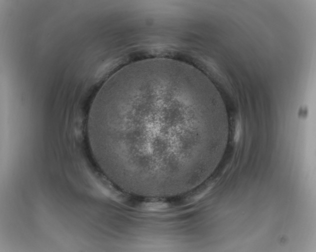 X0000092300266200709141326