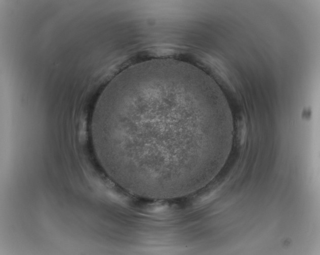 X0000092300267200709141326