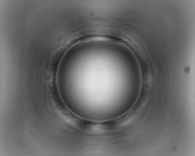 X0000092300268200709141326