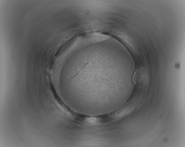 X0000092300269200709141326
