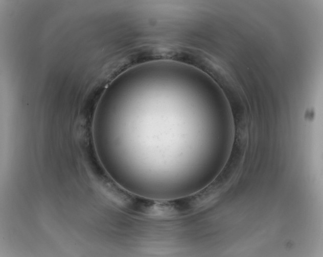 X0000092300270200709141326