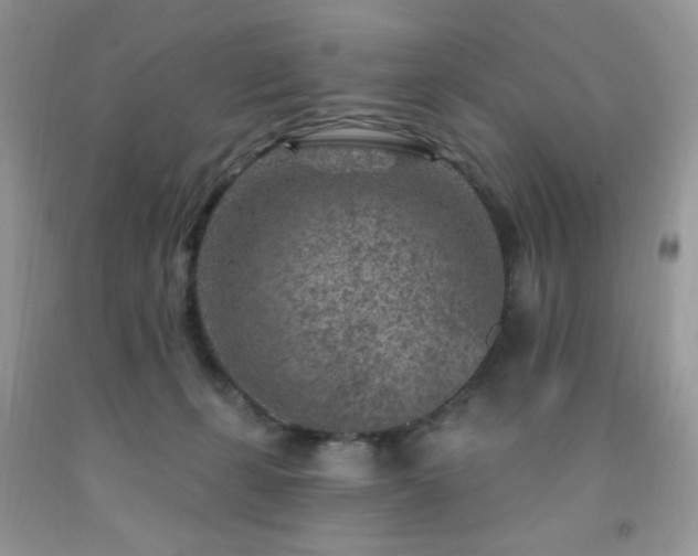 X0000092300271200709141326