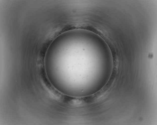 X0000092300272200709141326
