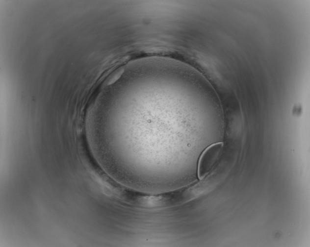 X0000092300273200709141326