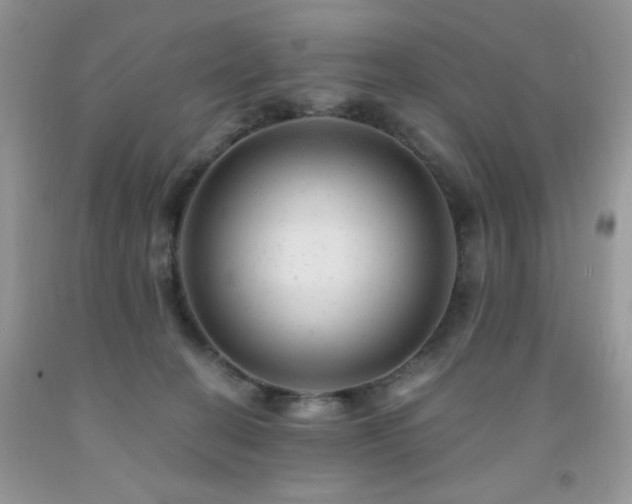 X0000092300274200709141326
