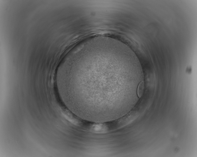 X0000092300275200709141326
