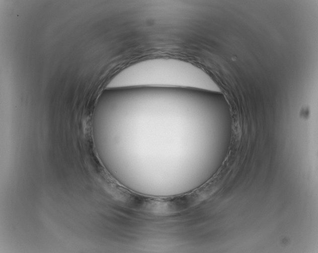 X0000092300276200709141326
