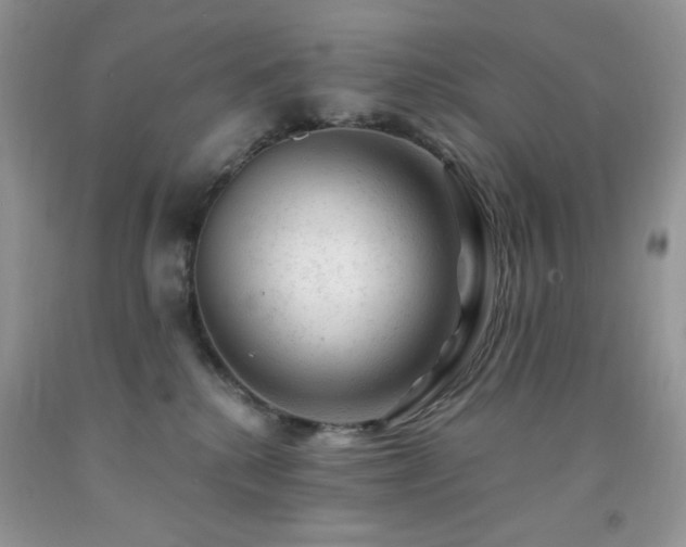 X0000092300280200709141326