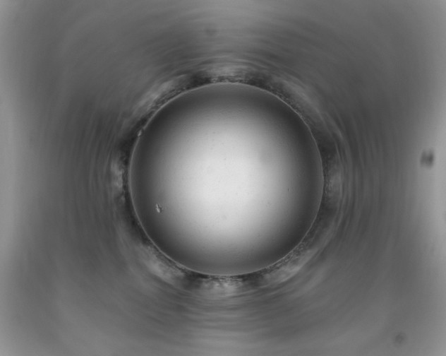X0000092300282200709141326