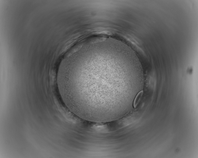 X0000092300283200709141326