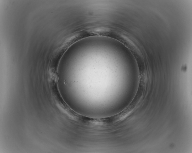 X0000092300284200709141326