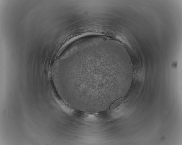 X0000092300285200709141326