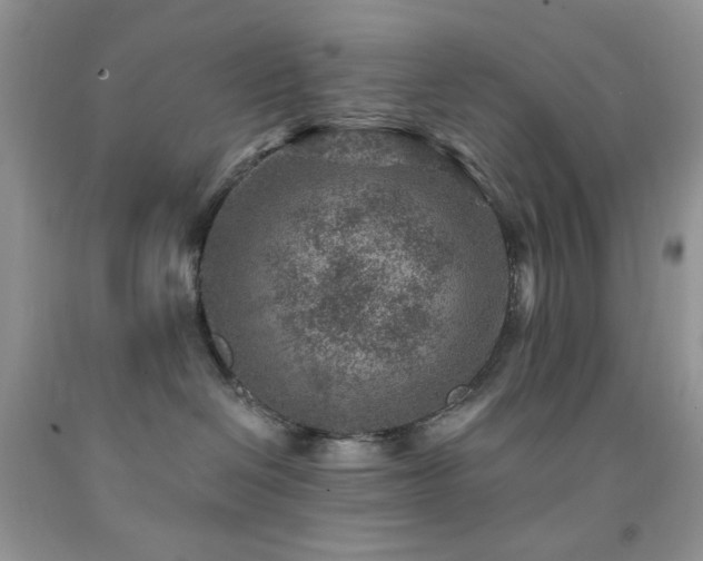 X0000092300286200709141326