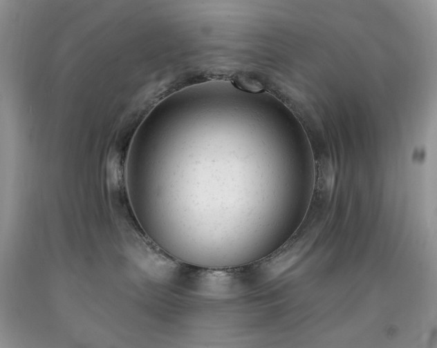 X0000092300287200709141326