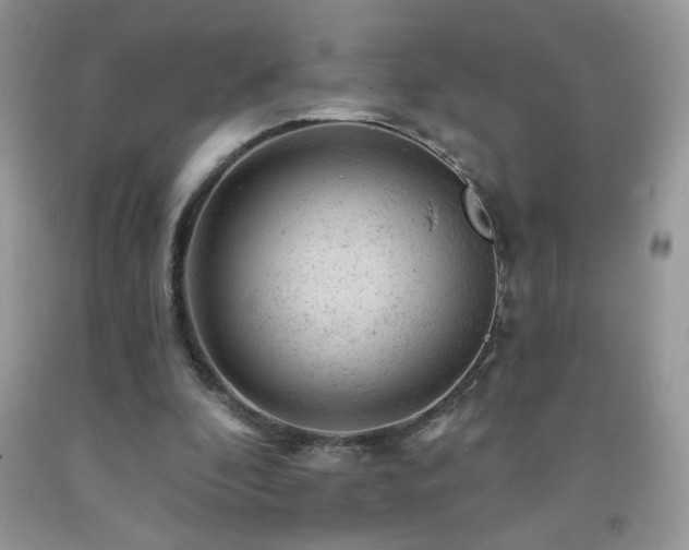 X0000092300296200709141325