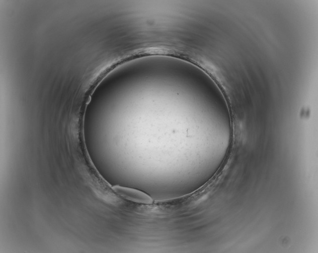 X0000092300297200709141325