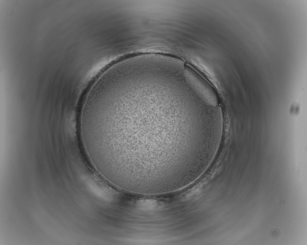 X0000092300298200709141325