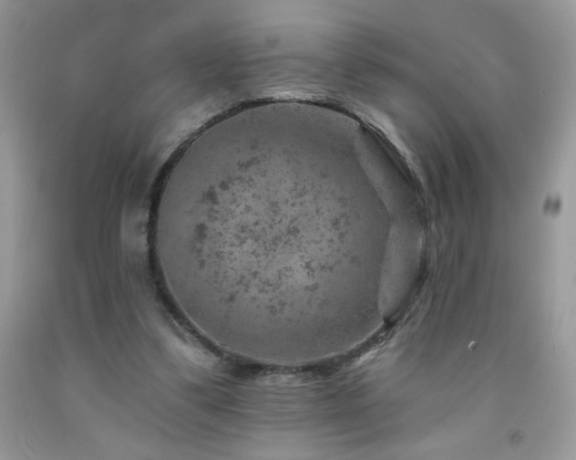 X0000092300299200709141325