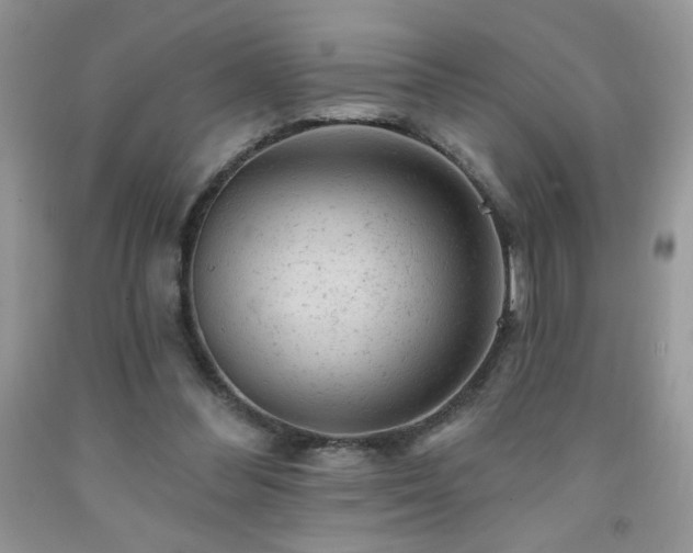 X0000092300300200709141325