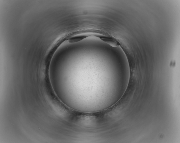 X0000092300304200709141325