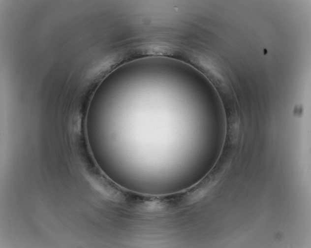 X0000092300310200709141325