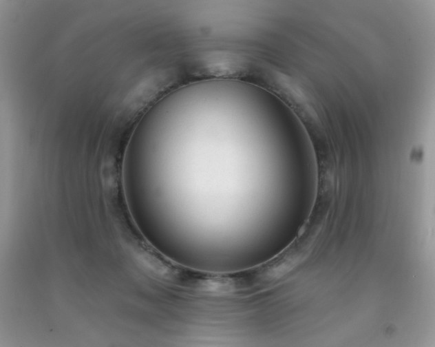 X0000092300317200709141325