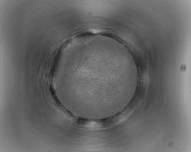 X0000092300319200709141325
