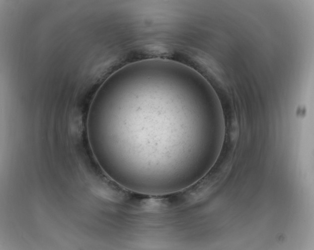 X0000092300320200709141325