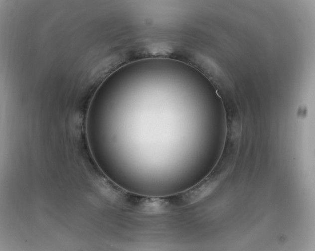 X0000092300321200709141325