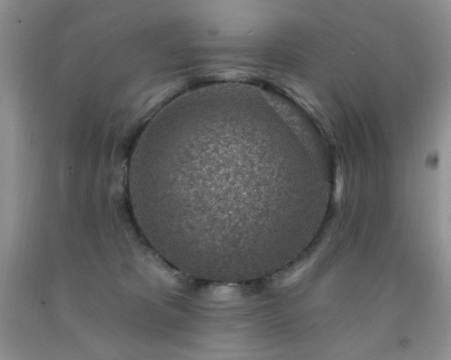 X0000092300325200709141325