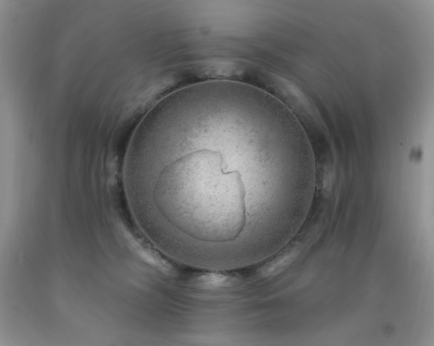 X0000092300326200709141325