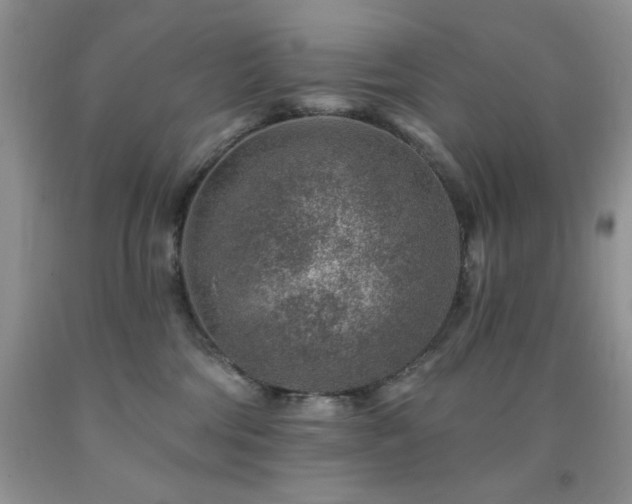 X0000092300330200709141325