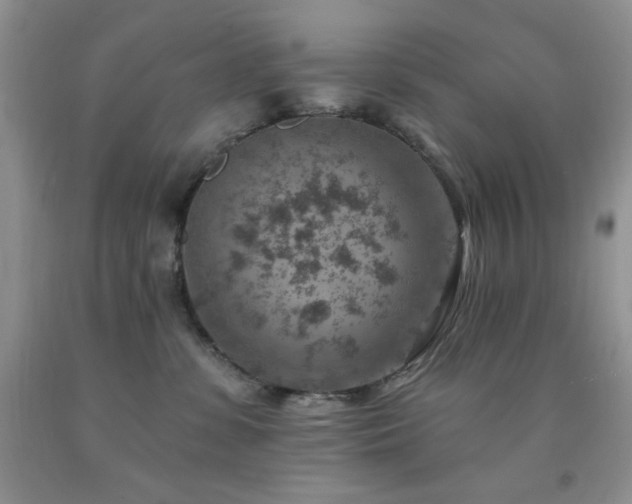 X0000092300331200709141325