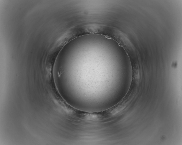 X0000092300332200709141325