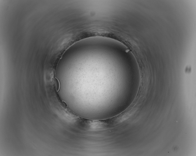 X0000092300336200709141325