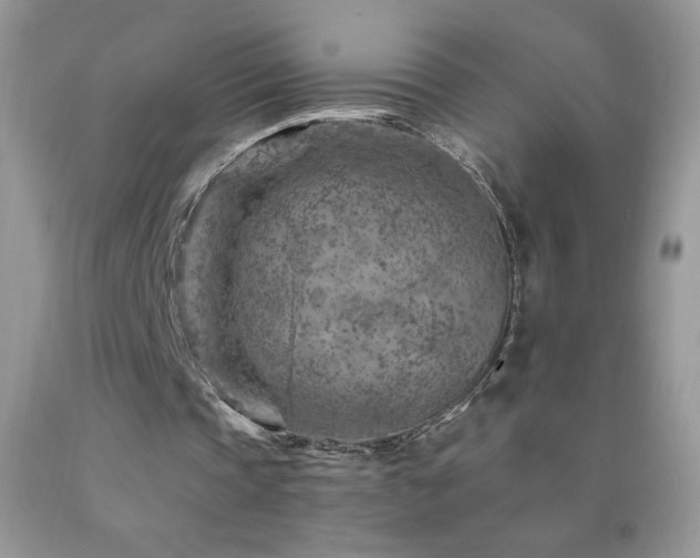 X0000092300337200709141324