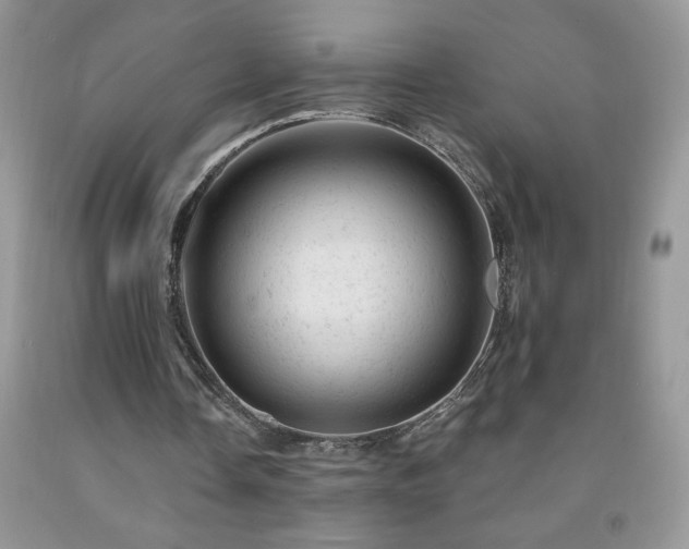 X0000092300338200709141324