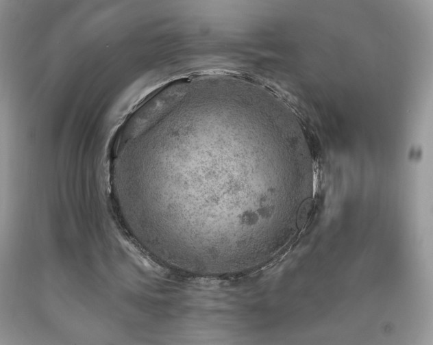 X0000092300339200709141324