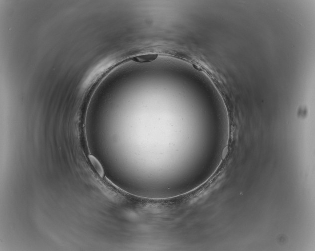 X0000092300341200709141324