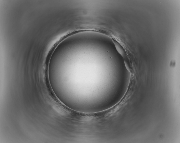 X0000092300342200709141324