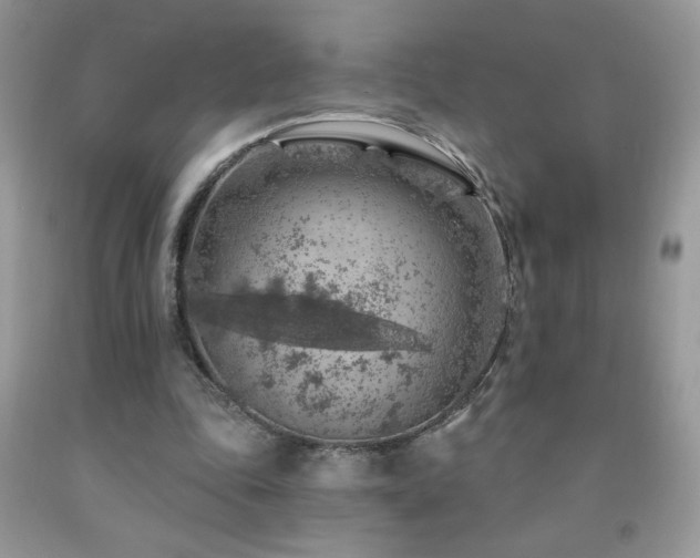 X0000092300343200709141324